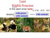 人教版 (新课标)必修1&2必修2Unit 4 Wildlife Protection多媒体教学课件ppt