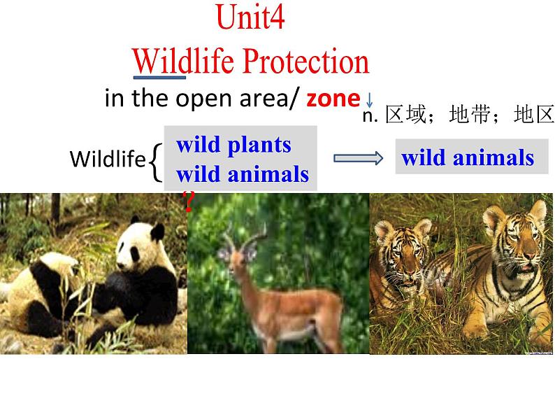 必修2 Unit 4 Wildlife Protection Vacabulary learning 课件01