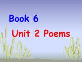 人教新课标选修6 Unit 2 Poems Reading 课件