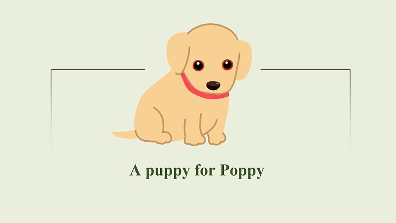 高考英语书面表达读后续写课件 — A puppy for Poppy 课件第1页