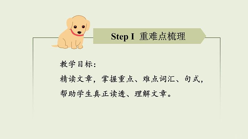 高考英语书面表达读后续写课件 — A puppy for Poppy 课件第5页