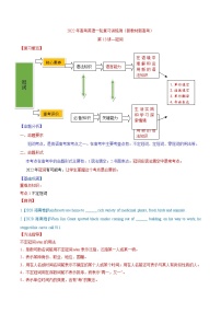 (新高考)高考英语二轮复习专题13《冠词》讲练测（2份打包，解析版+原卷版）