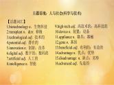 (新高考)高考英语一轮复习课件必修三 Unit 4 Space Exploration (含详解)