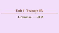 (新高考)高考英语一轮复习课件必修一 Unit 1 Teenage life Grammar (含详解)