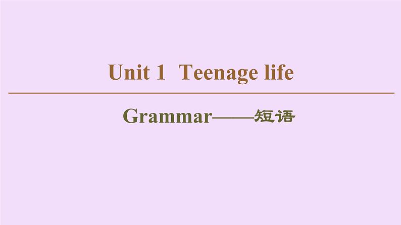 (新高考)高考英语一轮复习课件必修一 Unit 1 Teenage life Grammar (含详解)01