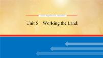 (新高考)高考英语一轮复习课件选择性必修一 Unit 5 Working the Land (含详解)