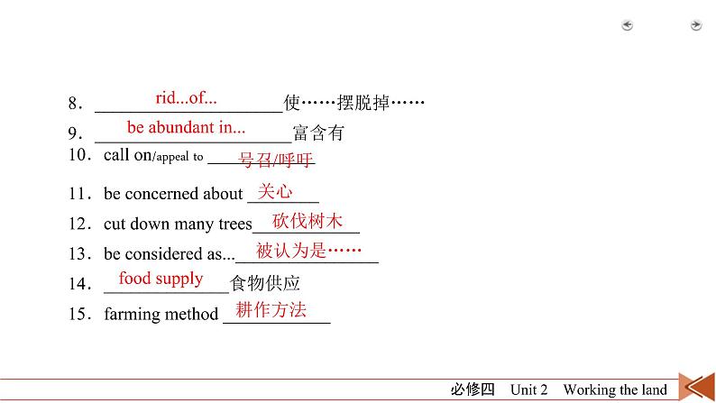 (人教版)高考英语一轮复习课件 必修4 Unit 2 (含详解)第5页