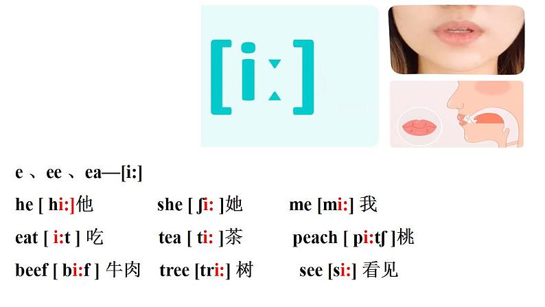 国际音标教学课件05