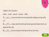 外研版高中英语选择性必修第一册unit4 meeting the muse sectionⅰ starting out and understanding ideas课件