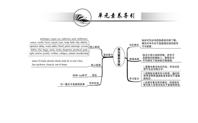 新人教版高中英语选择性必修第二册Unit5FirstAidReadingandThinking课件第2页