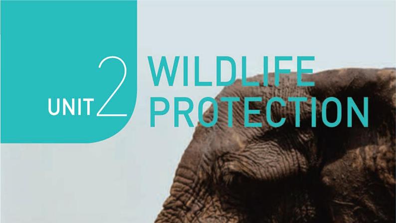 Unit 2 Wildlife protection Reading and Thinking课件01