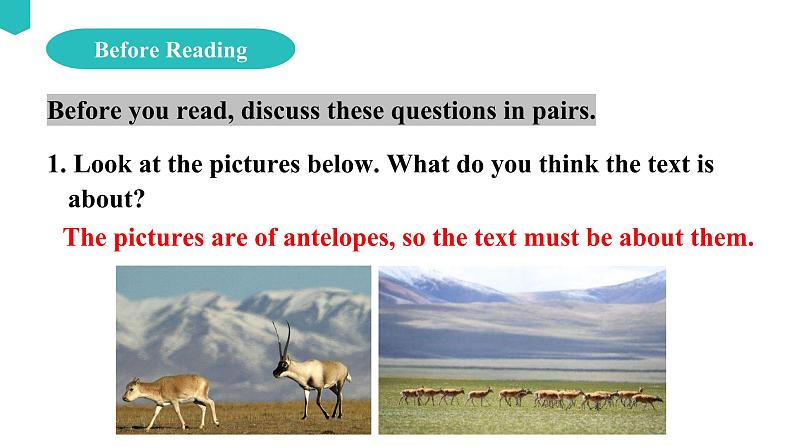 Unit 2 Wildlife protection Reading and Thinking课件06