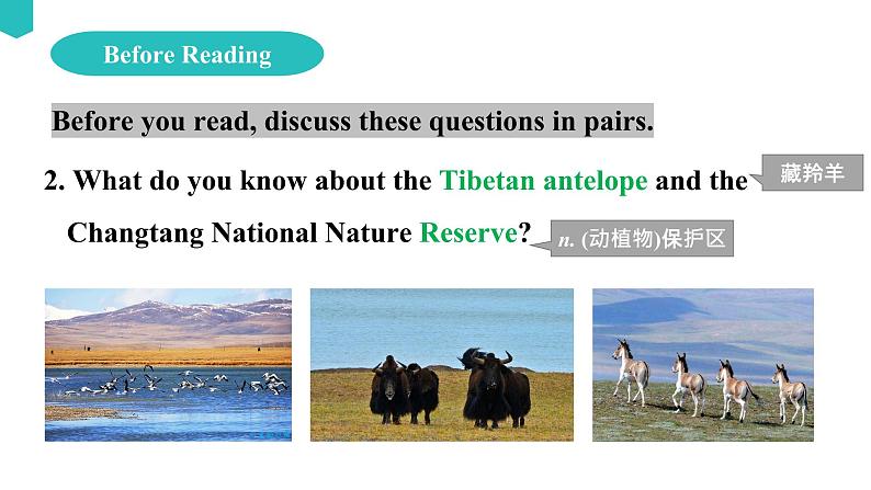 Unit 2 Wildlife protection Reading and Thinking课件07