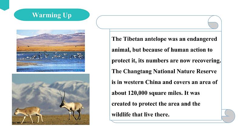 Unit 2 Wildlife protection Reading and Thinking课件08