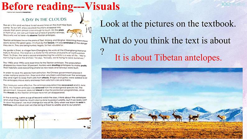 Unit 2 Wildlife protection Reading and Thinking 课件03