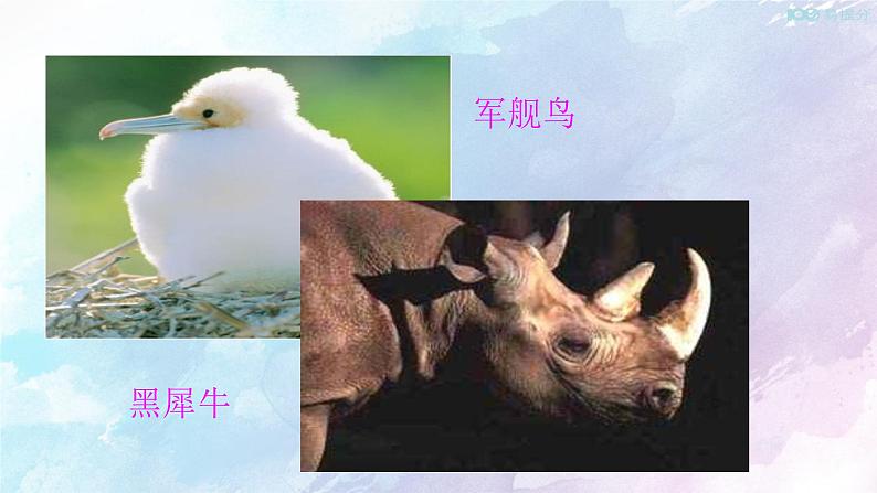 Unit 2 Wildlife protection Reading&Thinking 课件05