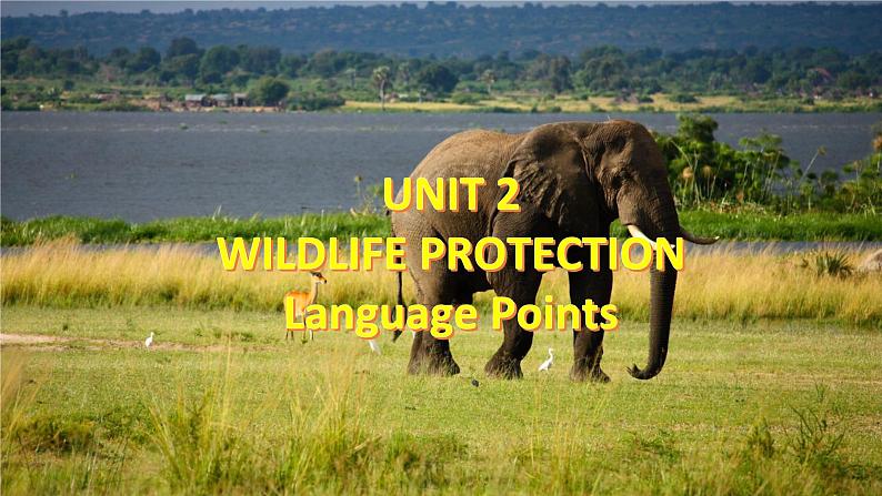 Unit 2 Wildlife protection  2.5 Language points 课件第2页