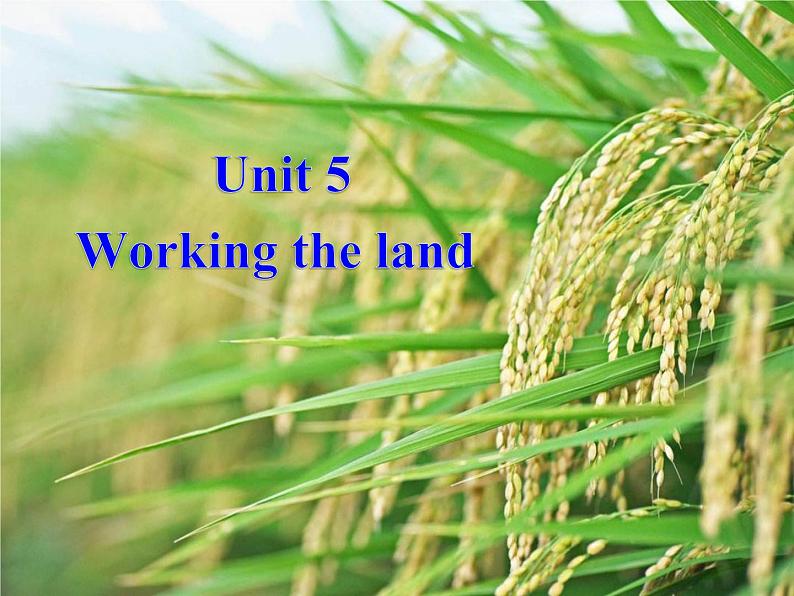 Unit 5 Working the Land 教学课件第1页