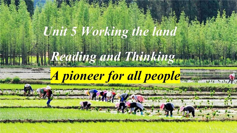 人教版（2019）选择性必修第一册Unit 5 Working the Land Reading and Thinking 课件01