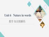 外研版高中英語(yǔ)選擇性必修第三冊(cè)Unit6教學(xué)知識(shí)細(xì)解碼課件+學(xué)案