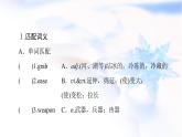 北师大版高中英语选择性必修第三册UNIT8SectionⅡLESSON2&LESSON3课件+学案+练习含答案