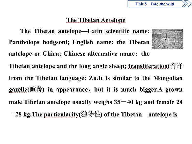 Unit 5 Into the wild Section Ⅰ　Starting out & Understanding ideas(PPT课件)第3页