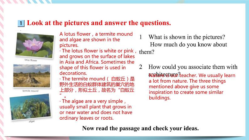 Unit 5 Learning from Nature  Starting out & Understanding ideas课件08