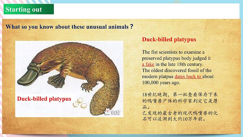 Unit 5 Revealing Nature Starting out and understanding ideas（外研版2019选择性必修第一册）课件PPT04