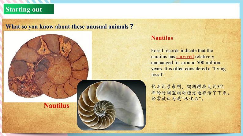 Unit 5 Revealing Nature Starting out and understanding ideas（外研版2019选择性必修第一册）课件PPT05