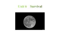 英语选择性必修 第二册Unit 6 Survival教学ppt课件