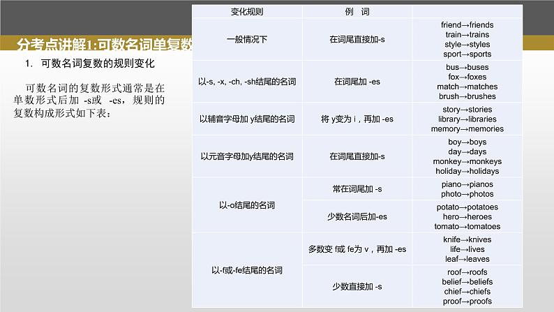 2023年高考英语一轮专题复习语法精讲：名词(1) 课件第4页