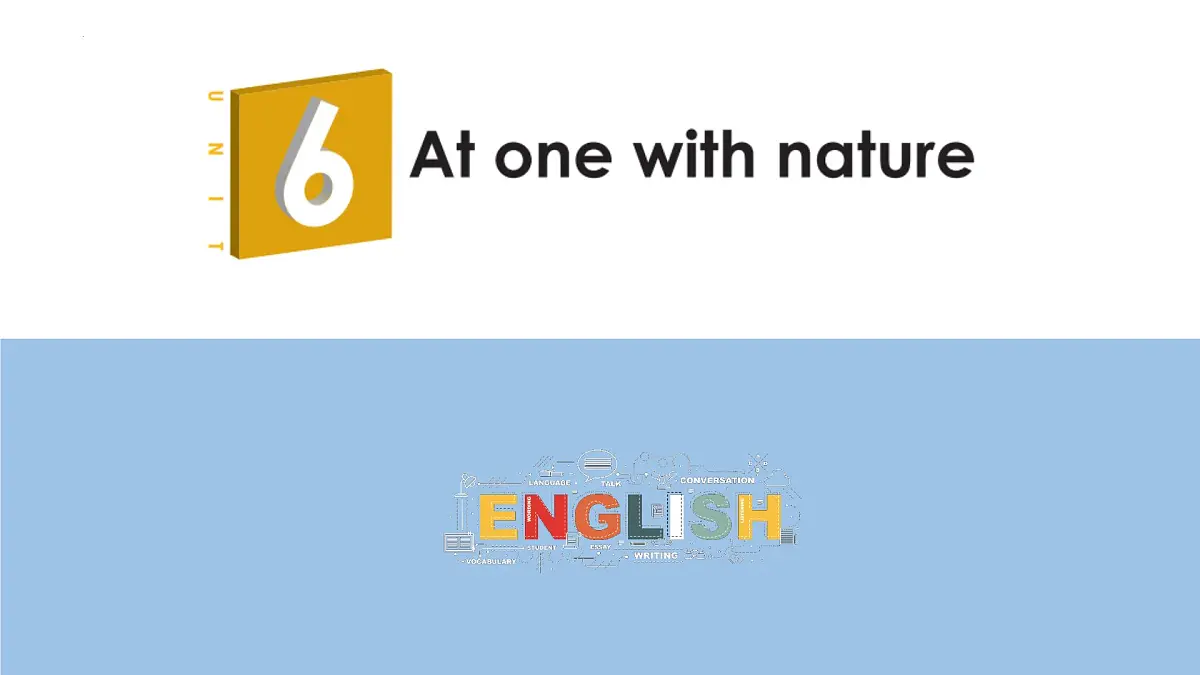 外研版（2019）必修第一册 Unit 6 Developing ideas 课件第1页