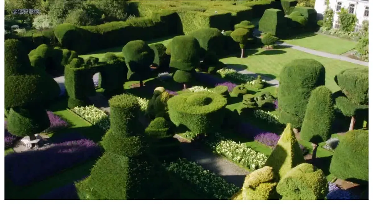 外研版（2019）必修第一册 Unit 6 Developing ideas 课件第3页