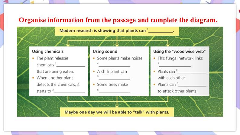 Unit 5 Revealing nature Developing ideas & Presenting ideas课件06