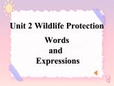 Unit 2 Wildlife Protection Words and expressions 课件