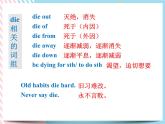 Unit 2 Wildlife Protection Words and expressions 课件