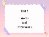 Unit 3 The Internet Words and expressions 課件