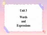 Unit 3 The Internet Words and expressions 课件