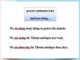 Unit 2 Wildlife Protection Discovering Useful Structures 课件
