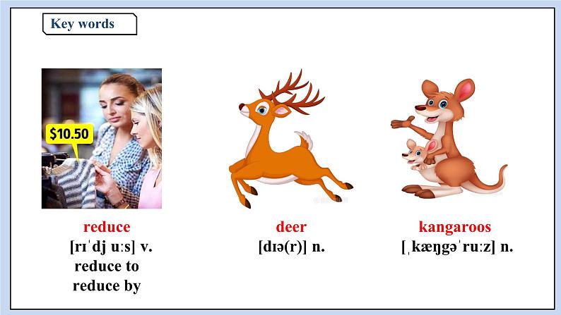 人教版（2019）高中英语必修二Unit 2 Wildlife Protection Period 3 Discovering Useful Structures 课件（送学案）04