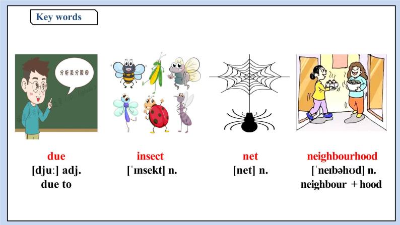 人教版（2019）高中英语必修二Unit 2 Wildlife Protection Period 3 Discovering Useful Structures 课件（送学案）05