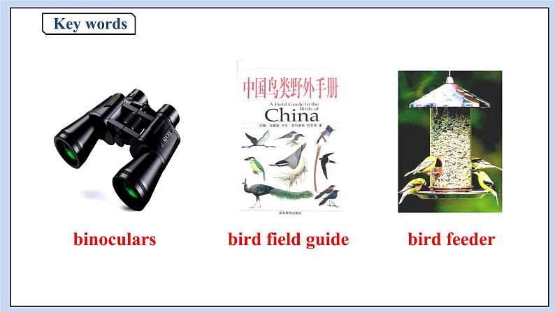 人教版（2019）高中英语必修二Unit 2 Wildlife protection Period 5 Listening and Talking&Assessing Your Progress课件（送学案）05