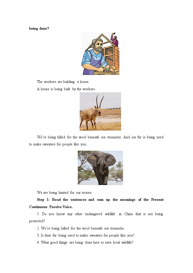 人教版（2019）英语必修第二册Unit 2 Wildlife Protection  -Discovering Useful Structure教案第2页