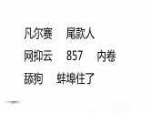 2023届高考英语二轮复习名词课件2