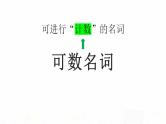 2023届高考英语二轮复习可数名词与不可数名词课件