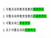 2023届高考英语二轮复习可数名词与不可数名词课件