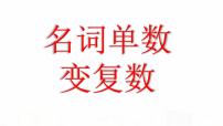 2023届高考英语二轮复习名词单数变复数专项讲解课件