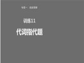 专题一 训练11 代词指代题课件PPT
