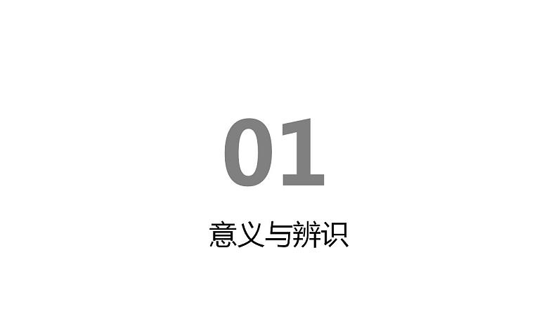 2023届高考英语二轮复习定语从句课件第3页