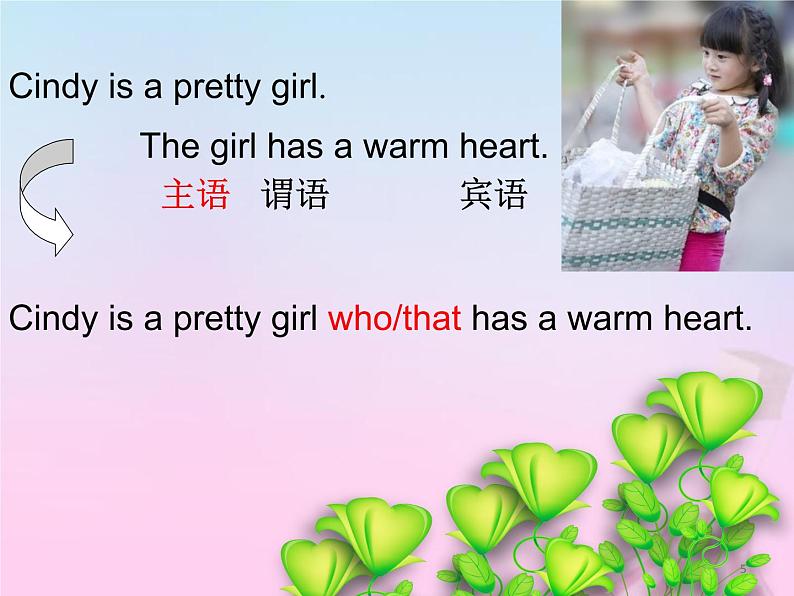 2023届高考英语二轮复习关系代词引导的定语从句课件05